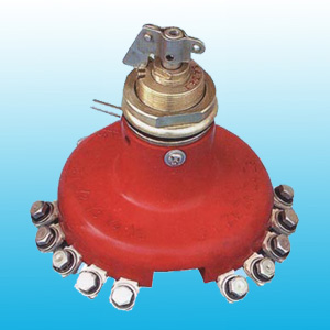 無(wú)勵(lì)磁分接開關(guān)